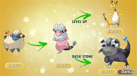 shuckle pokémon evolution|pokemon evolution chart.